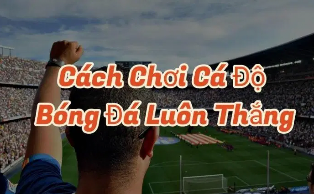 Cach ca do bong da luon thang hinh anh 1